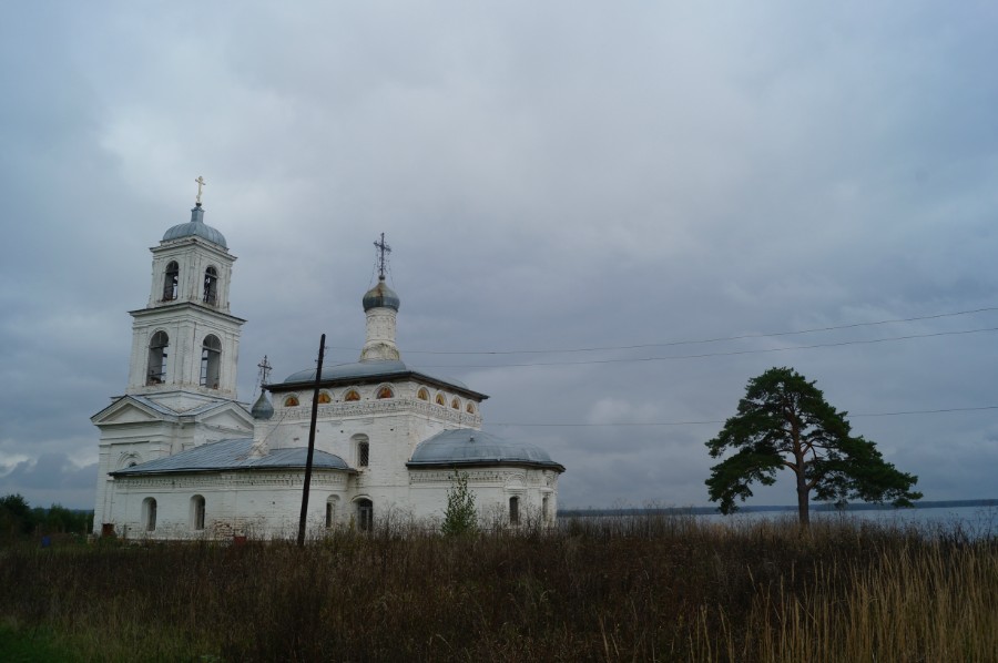 Церковь Казанской иконы Божией Матери и Сосна Хмелевская. Фото 3