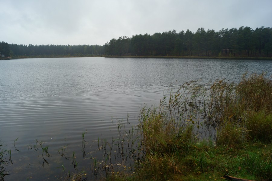 Озеро Родионово, Сосновский район. Фото 2