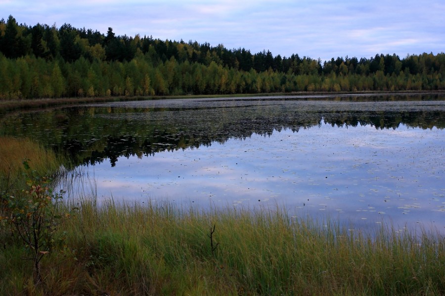 Озеро Большое (фото4)
