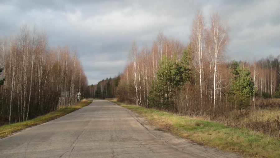 Дорога в заказник