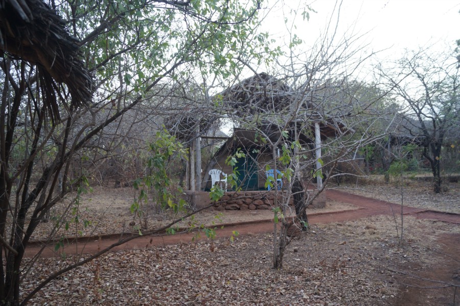 Fig.  2