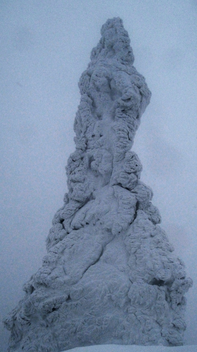  ,  2
