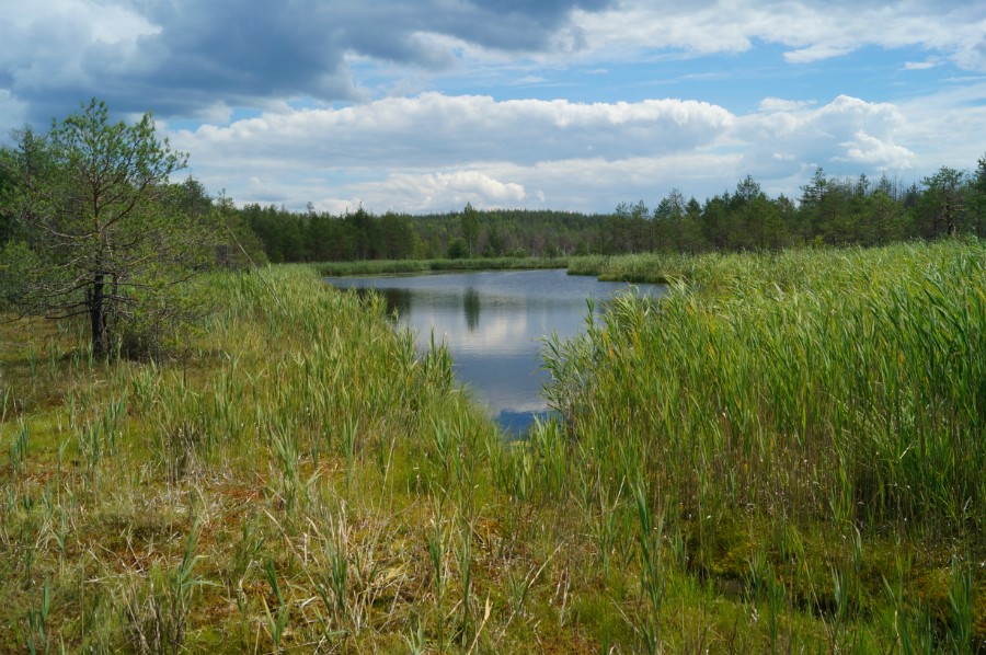 Озерцо Ирзяк-Нижний к юго-востоку от озера Ирзяк-Глубокий. Фото с плавины, разделяющей эти озера