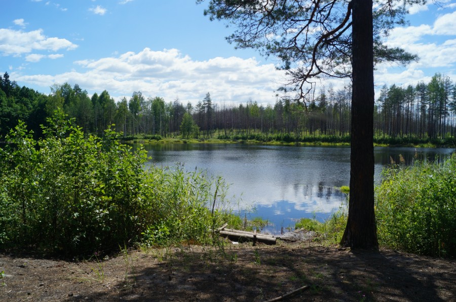 Озеро Малое (Хохлово). Вид с северной стоянки