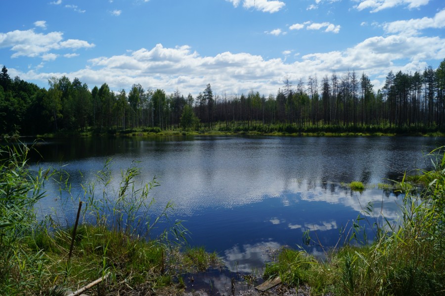 Озеро Малое (Хохлово). Вид с северной стоянки. Фото 3