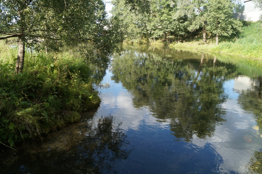 Озеро родниковой воды на Казанском источнике в Гремячево
