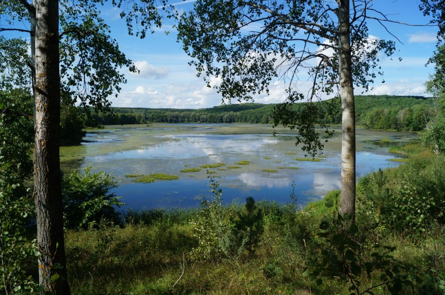 Озеро Карасное (Красное, Бутурлинский район). Фото 2