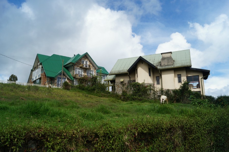     (Nuwara Eliya)