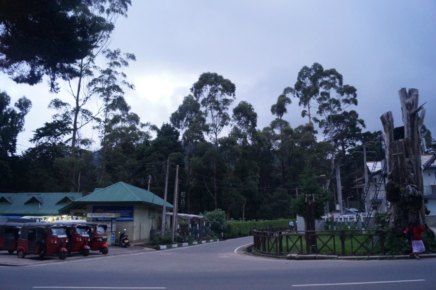     (Nuwara Eliya).  3