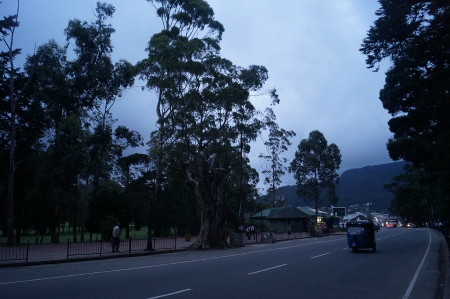     (Nuwara Eliya).  3