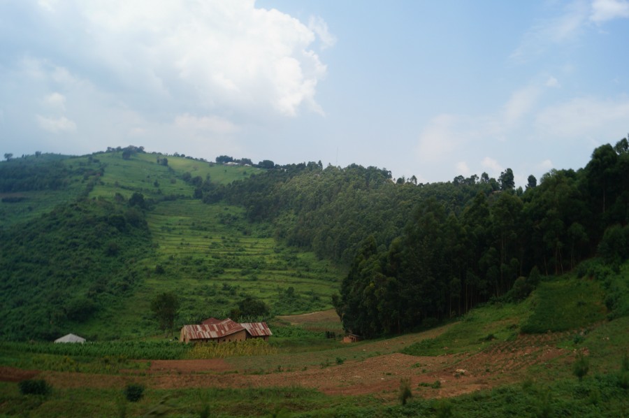 Угандийские пейзажи