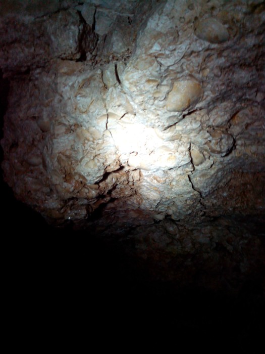 Ичалковский бор, пещеры. Фото 24