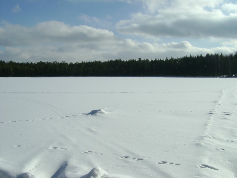 Таёжное озеро Безрыбное, фото 3