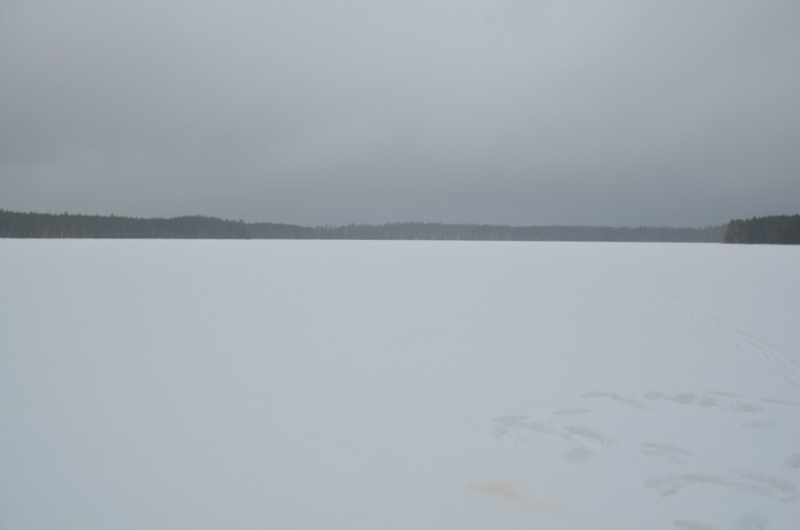 Озеро Малое Плотово, фото 2