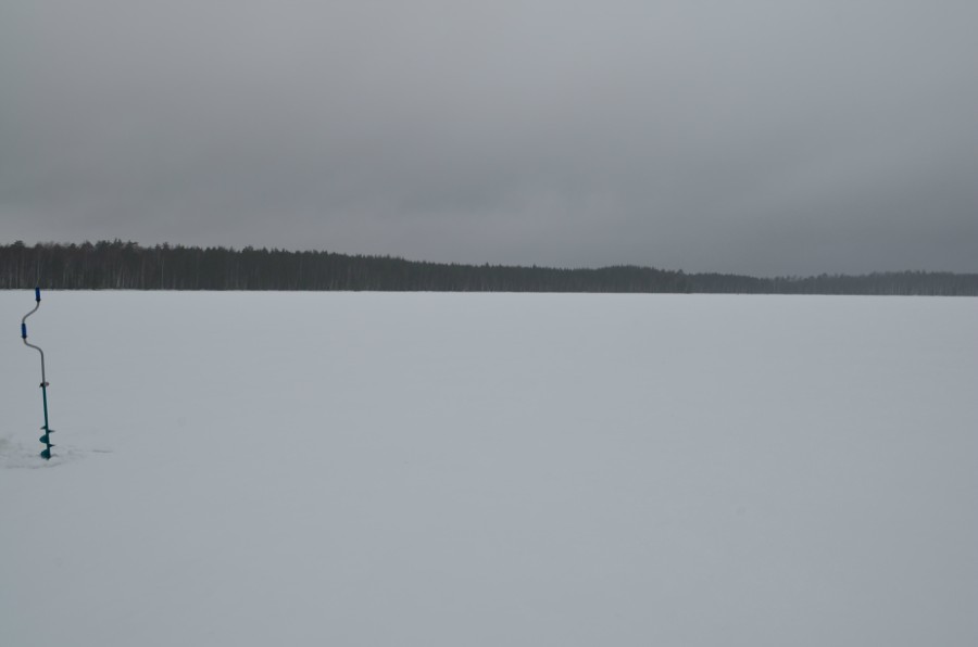 Озеро Малое Плотово, фото 3