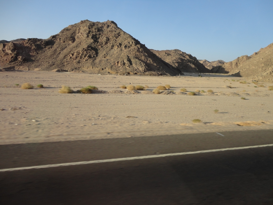 Дорога в Луксор