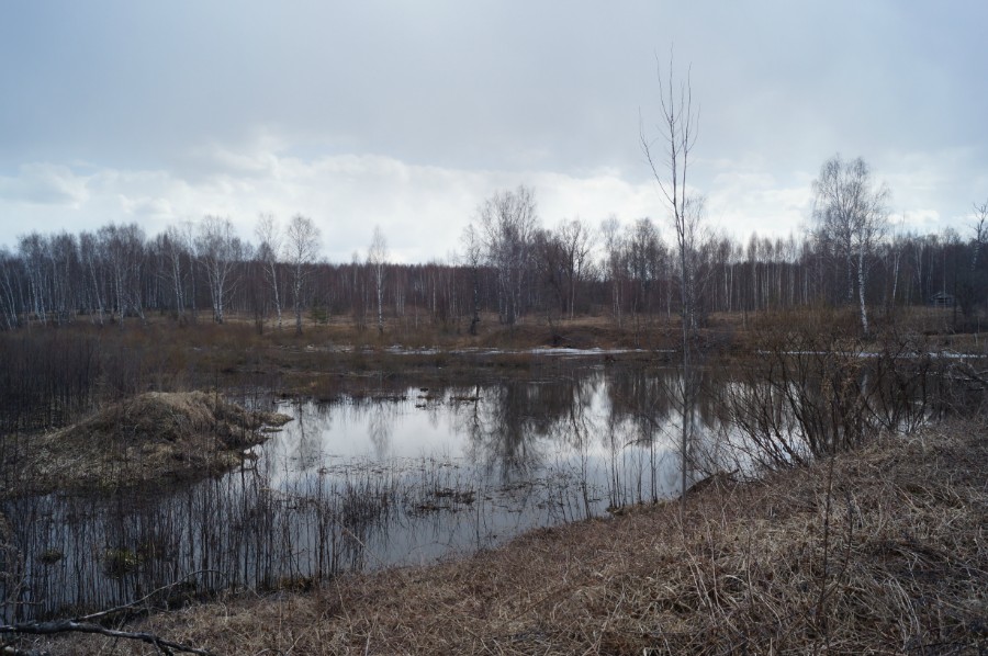Остатки пруда на речке Муромка усадьбы Е.М. Голициной-М.И. Остен-Сакен 