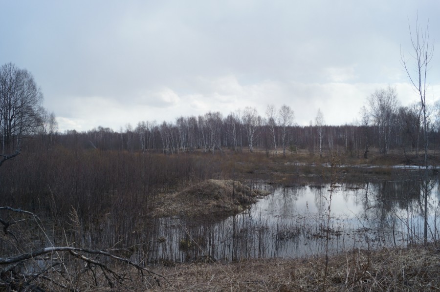 Остатки пруда на речке Муромка усадьбы Е.М. Голициной - М.И. Остен-Сакен, фото 3