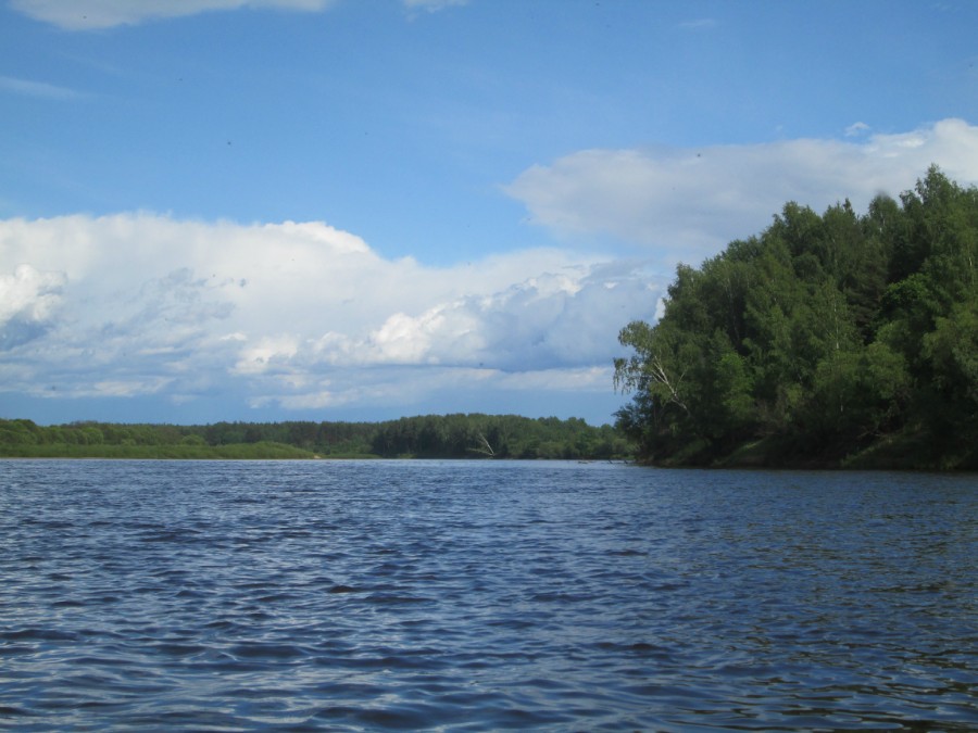 Ветлуга Нижегородская Область Знакомства