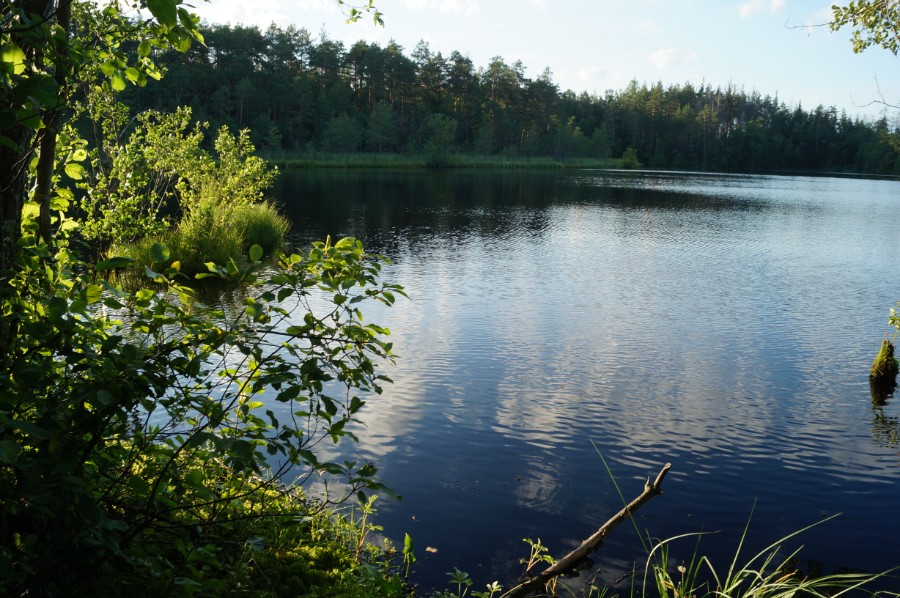Крутое озеро (Северное), фото с южного берега