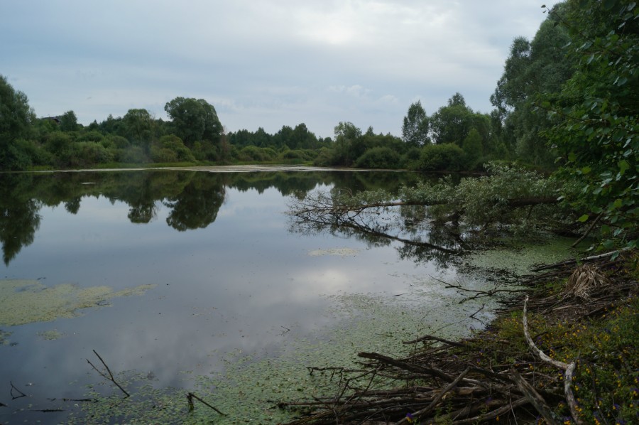 Озеро Цимлянское у Венца (Сосновский район)