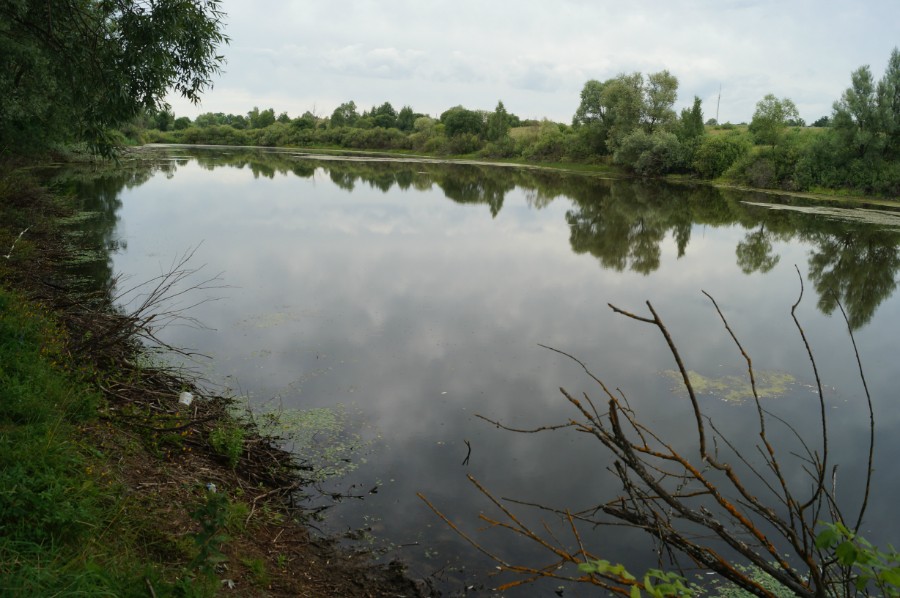 Озеро Цимлянское у села Венец, фото 3