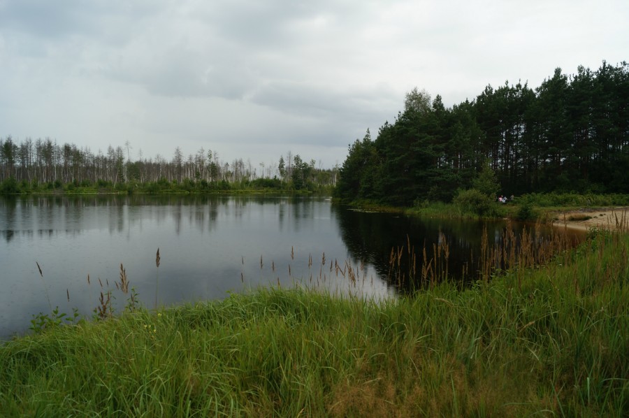 Озеро Пуреш (Пурешево), Вачский район, фото 4