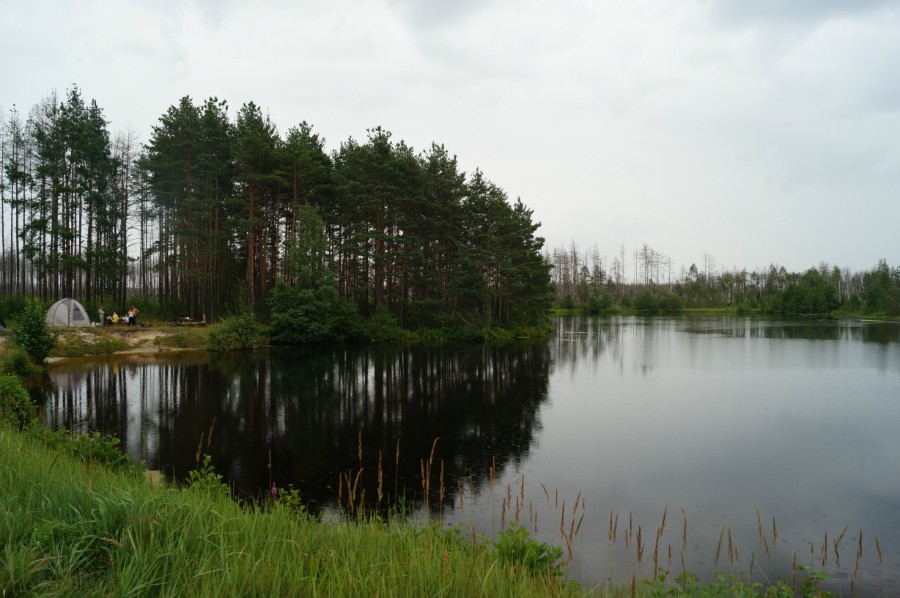 Озеро Пуреш (Пурешево), Вачский район, фото 5
