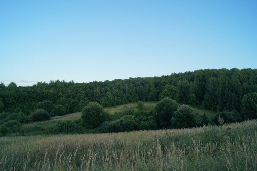 Говровский лес у Акаского пруда. Фото в сторону самой южной точки Нижегородской области