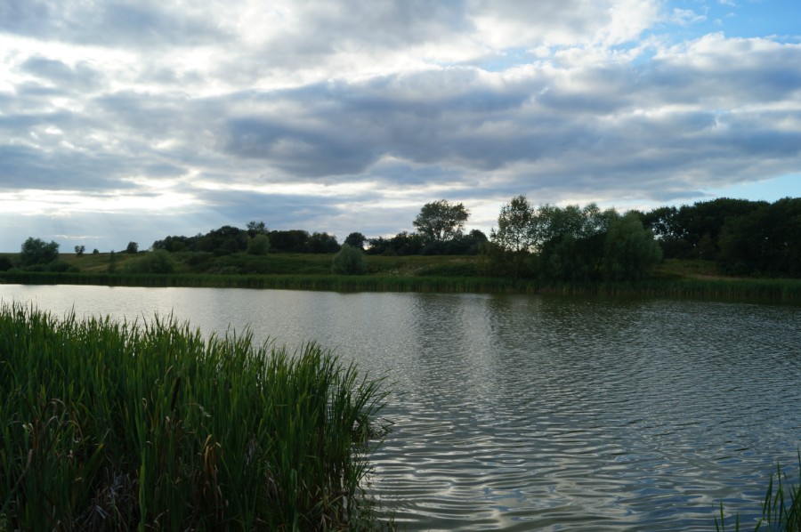 Сохранившийся пруд и остатки парка в урочище Федотово