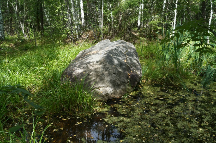 Камень Вергар (вид с юга)