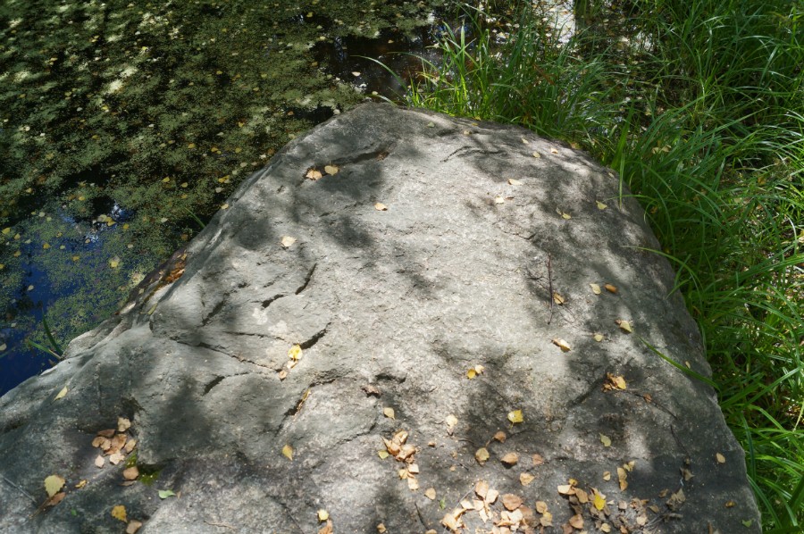 Камень Вергар (Сатинский валун). Фото с камня