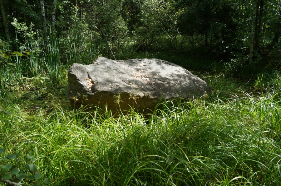 Камень Вергар (Сатинский валун)