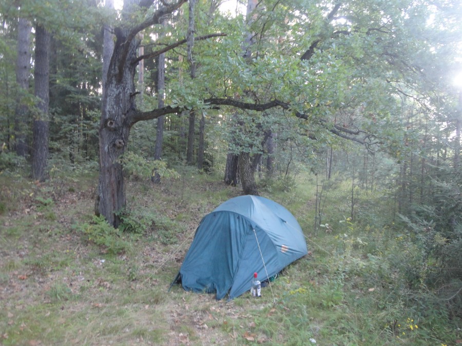 2015 август. У палатки