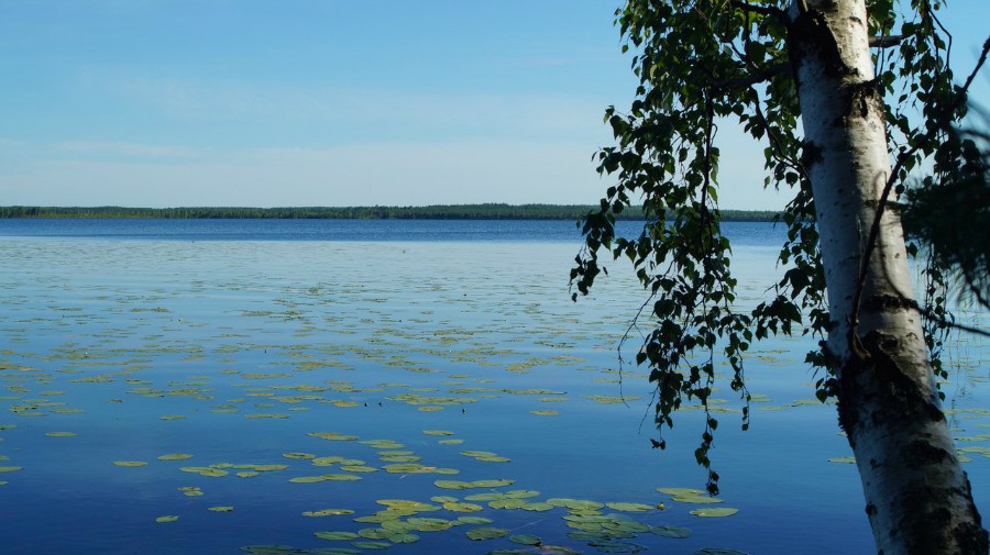 Озеро Большое Плотово