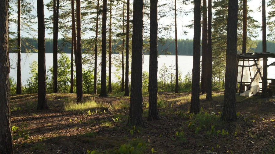 У восточной стоянки на озере Рыжан