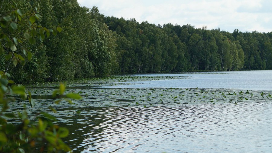 На озере Невском