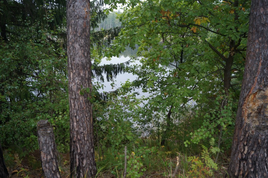Вид с высокой стоянки на озеро Подборное