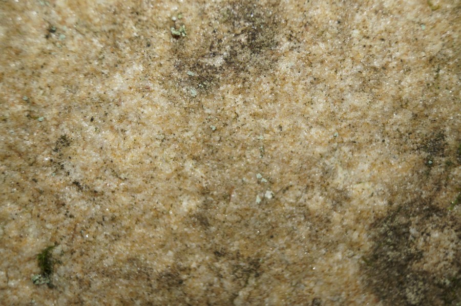 Камень с личиной скорее всего кварцит
