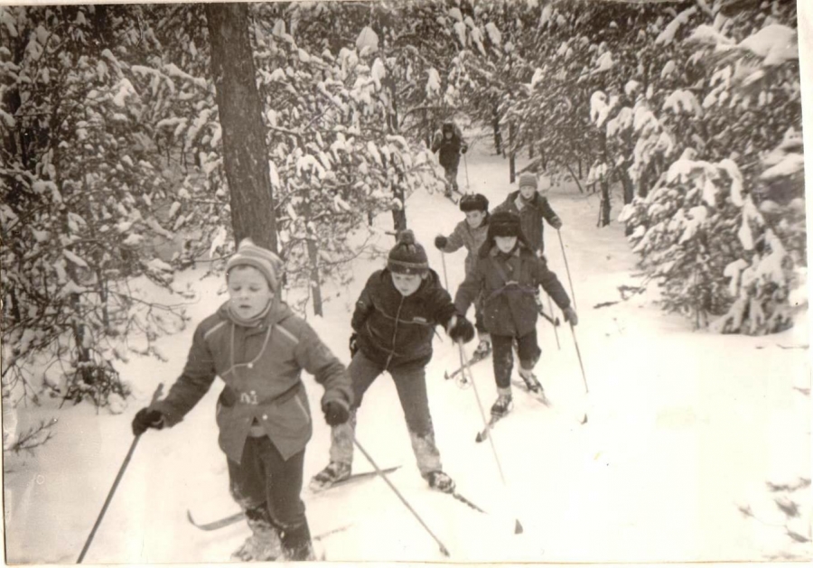 �� ������ ������