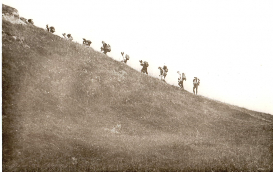 �������