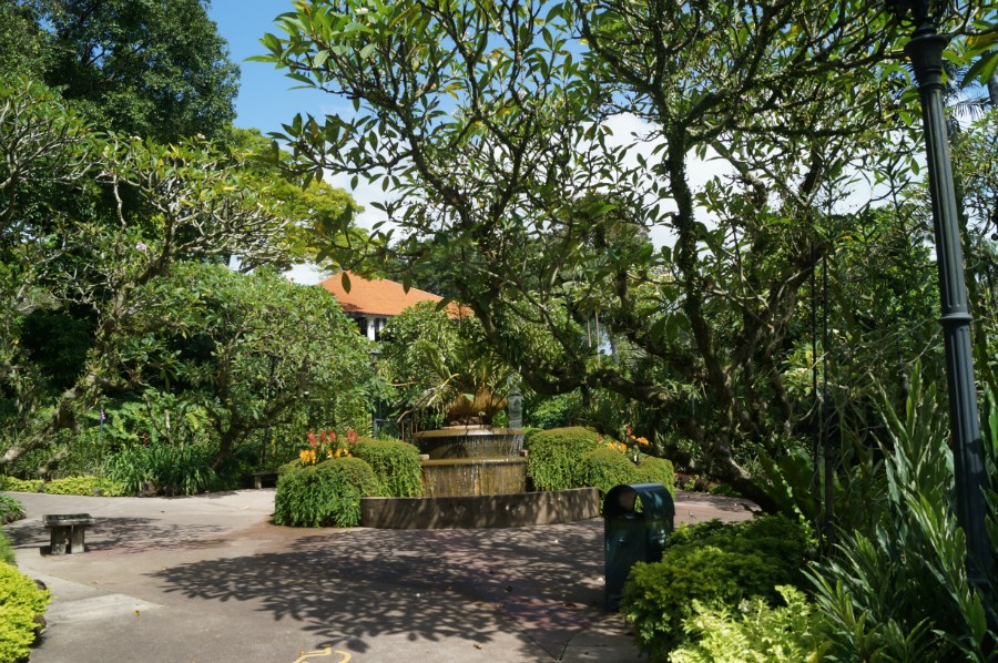  .    (Singapore Botanic Garden)