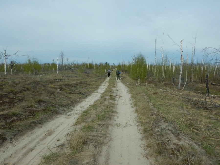 Путь к озеру Мантурово, фото 4