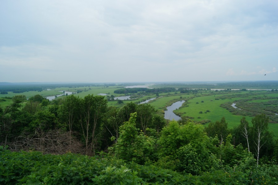 Вид на пойму реки Ока со старичными озерами в Подвязье. В центре озеро Заводь