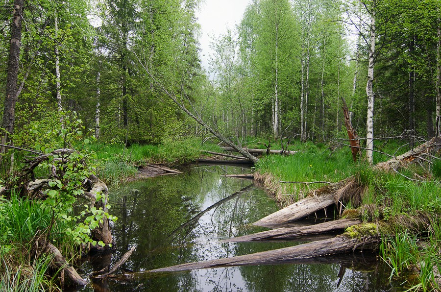 Фото Вид Вверх