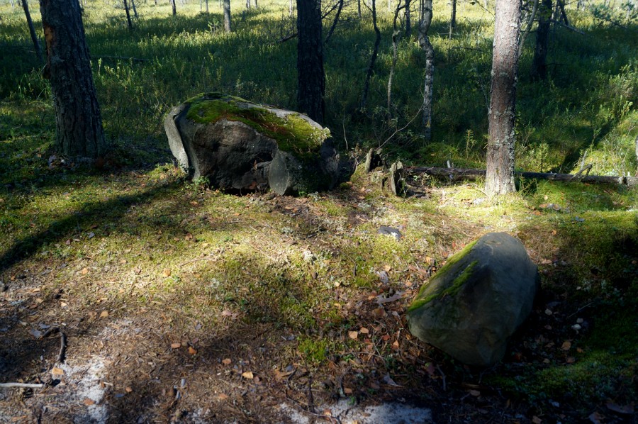 Крупный камень рядом с тайником Геокешеров у 