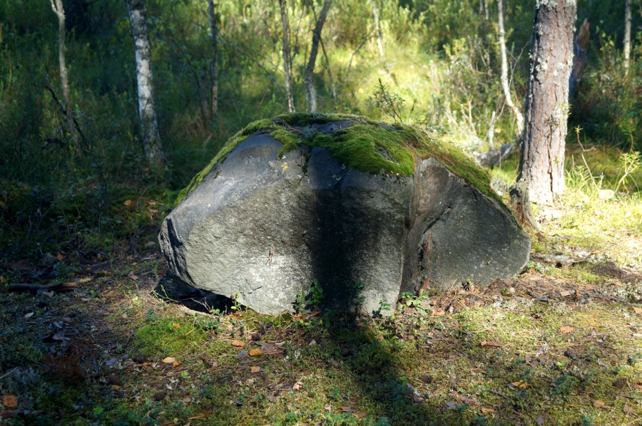Крупный камень рядом с тайником Геокешеров у 