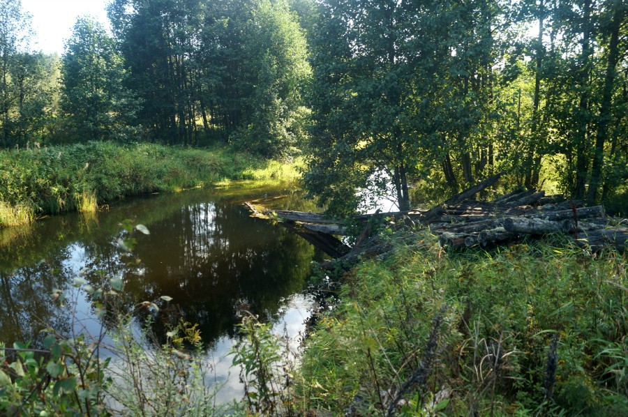 Река Шомохта ниже разрушенного моста. На берегу лежат его снесенные половодьем остатки