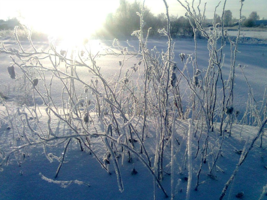 Морозное утро в деревне