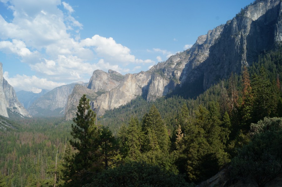     (Yosemite National Park)     